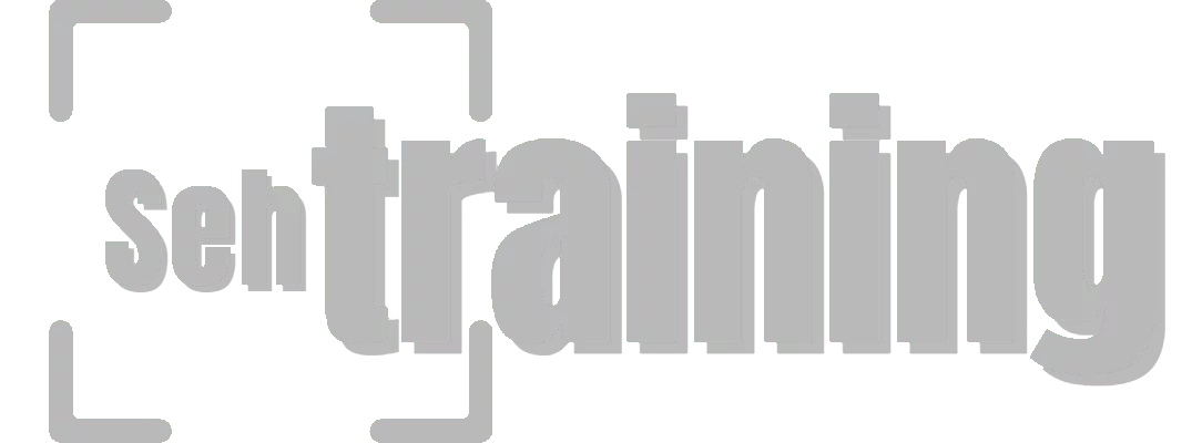 Sehtraining